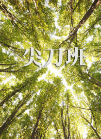 日韩午夜免费视频